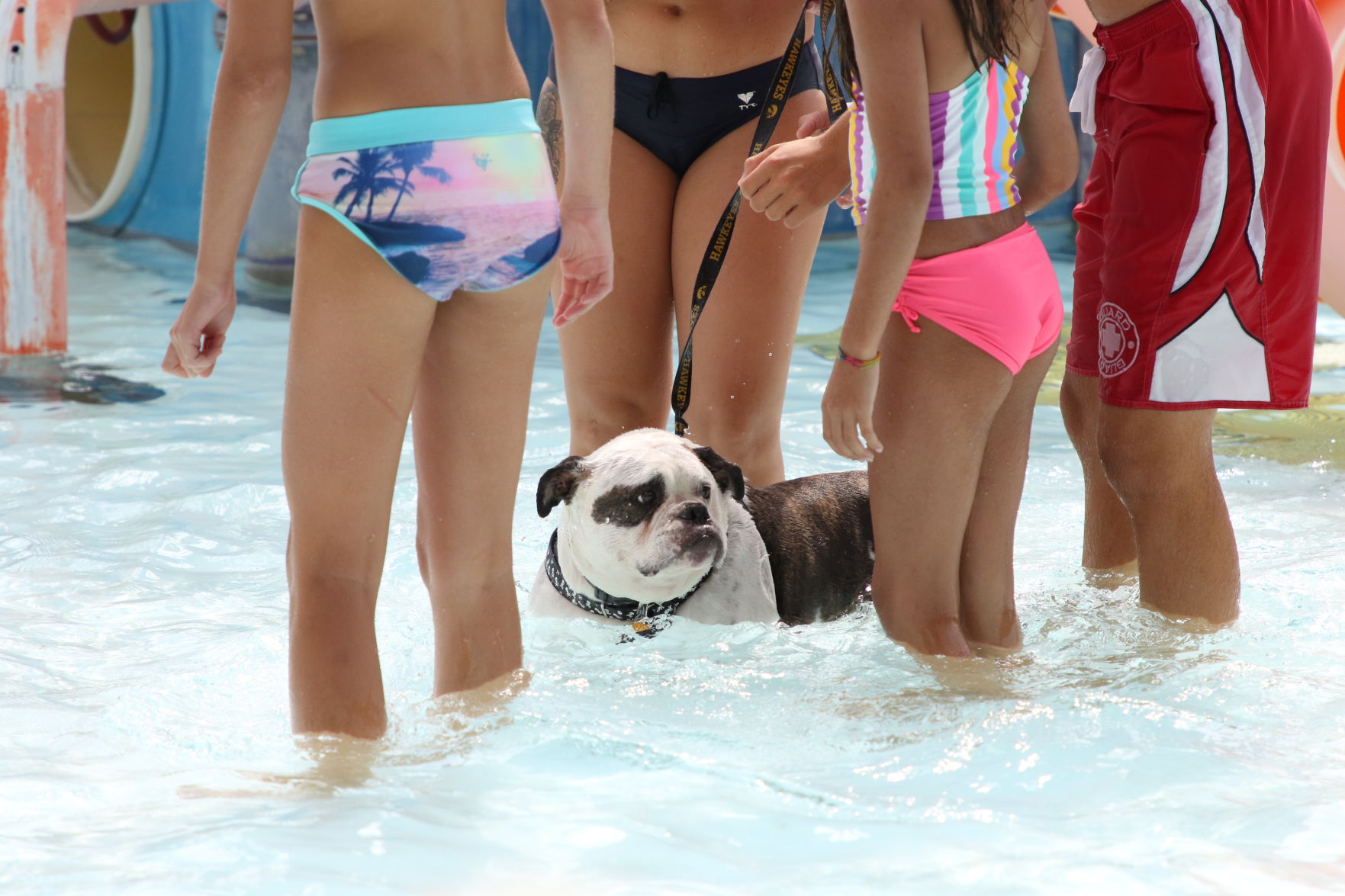 Dogs at the pool (47).JPG